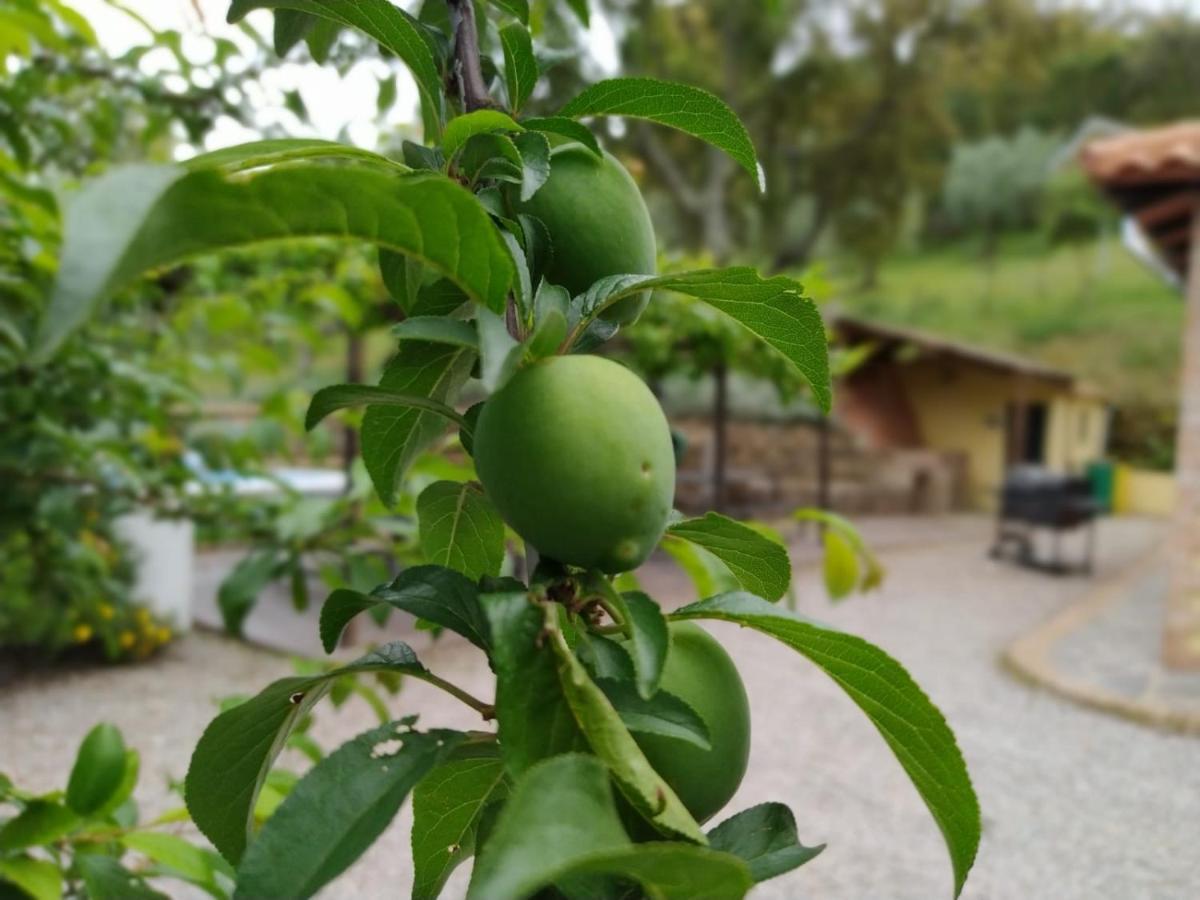 Casa Rural El Bonito Cazalla de la Sierra Luaran gambar